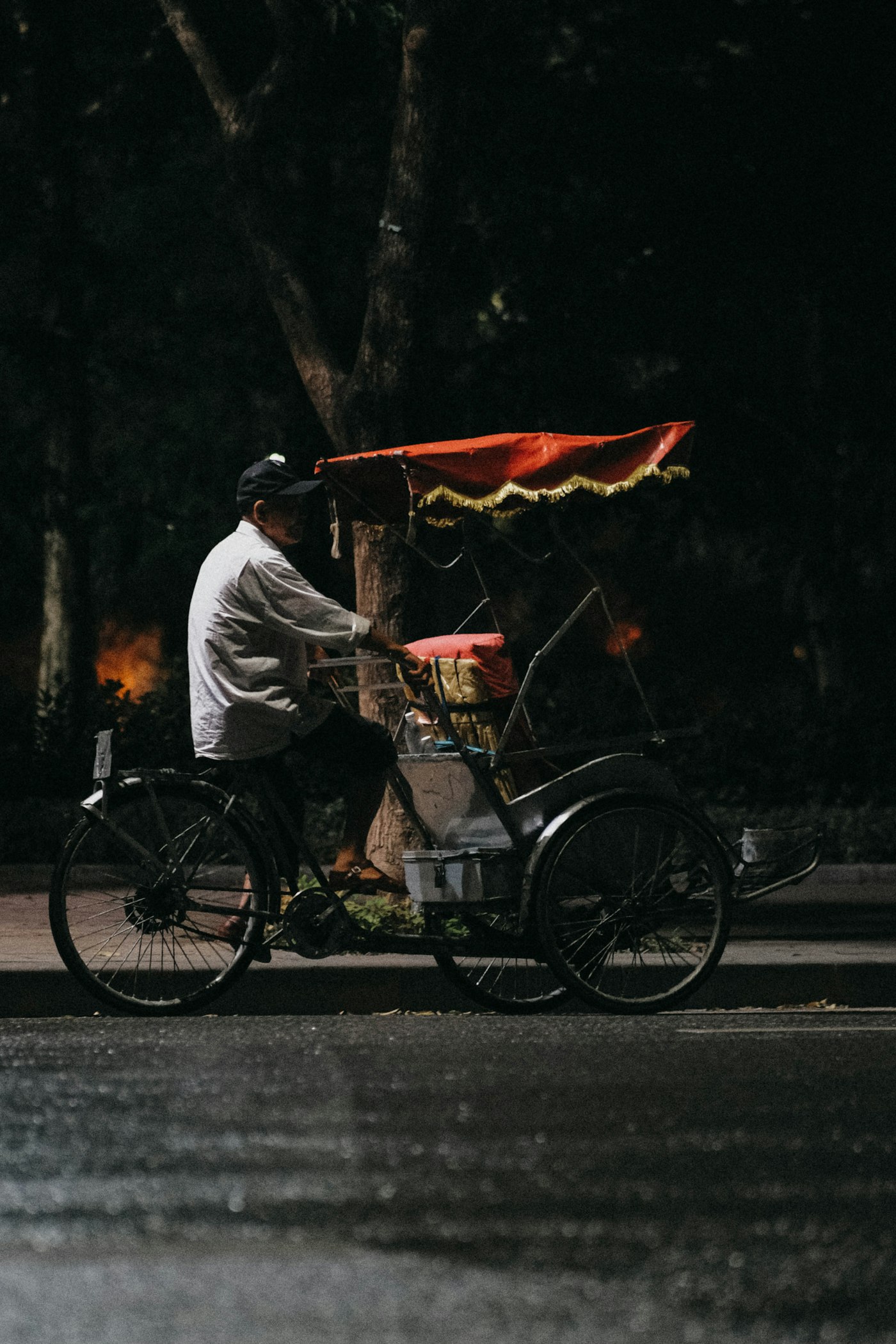 A man riding a bike down a tree-lined street